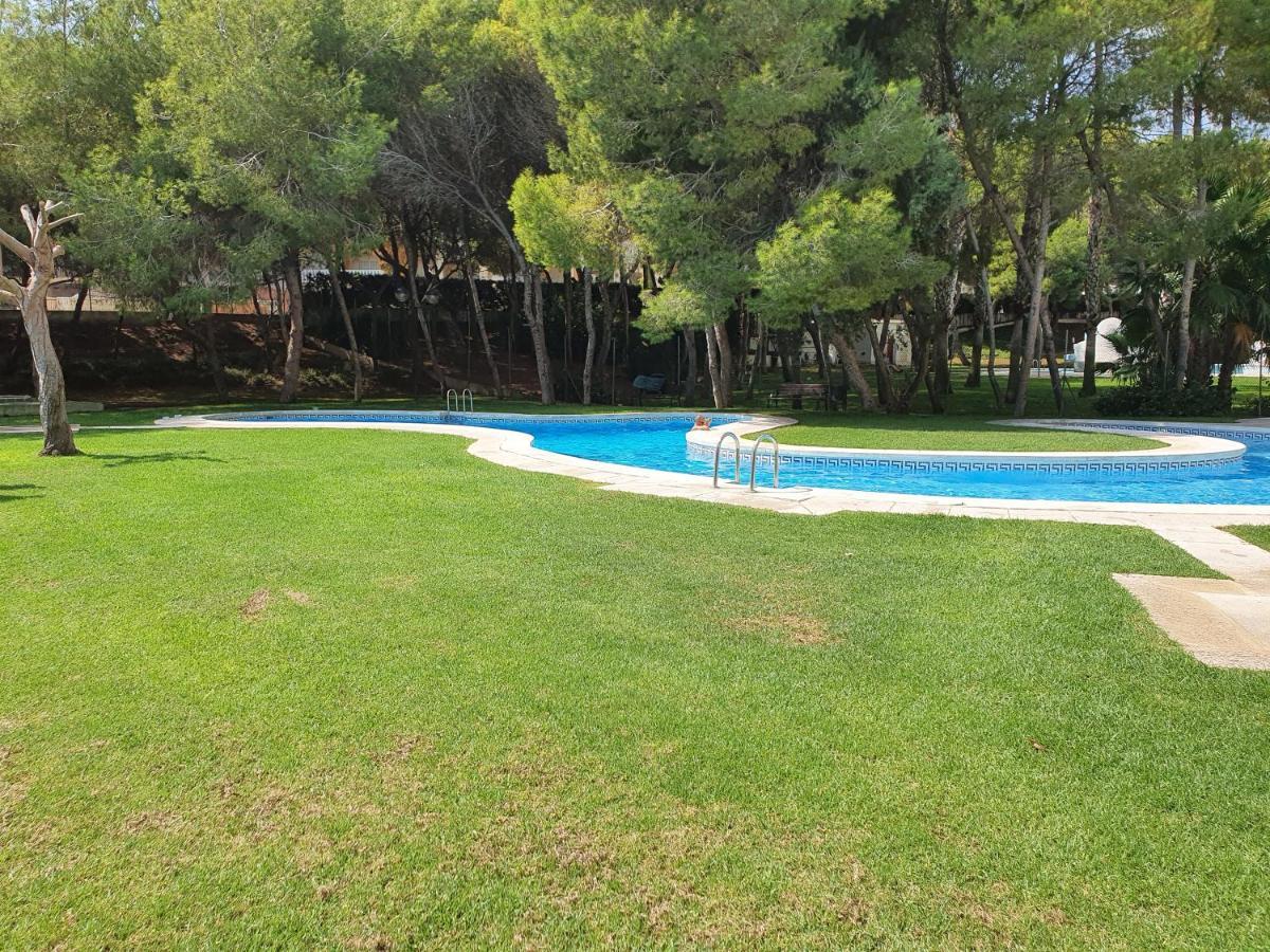 Apartment In Campoamor Overlooking The Swimming Pool Bagian luar foto