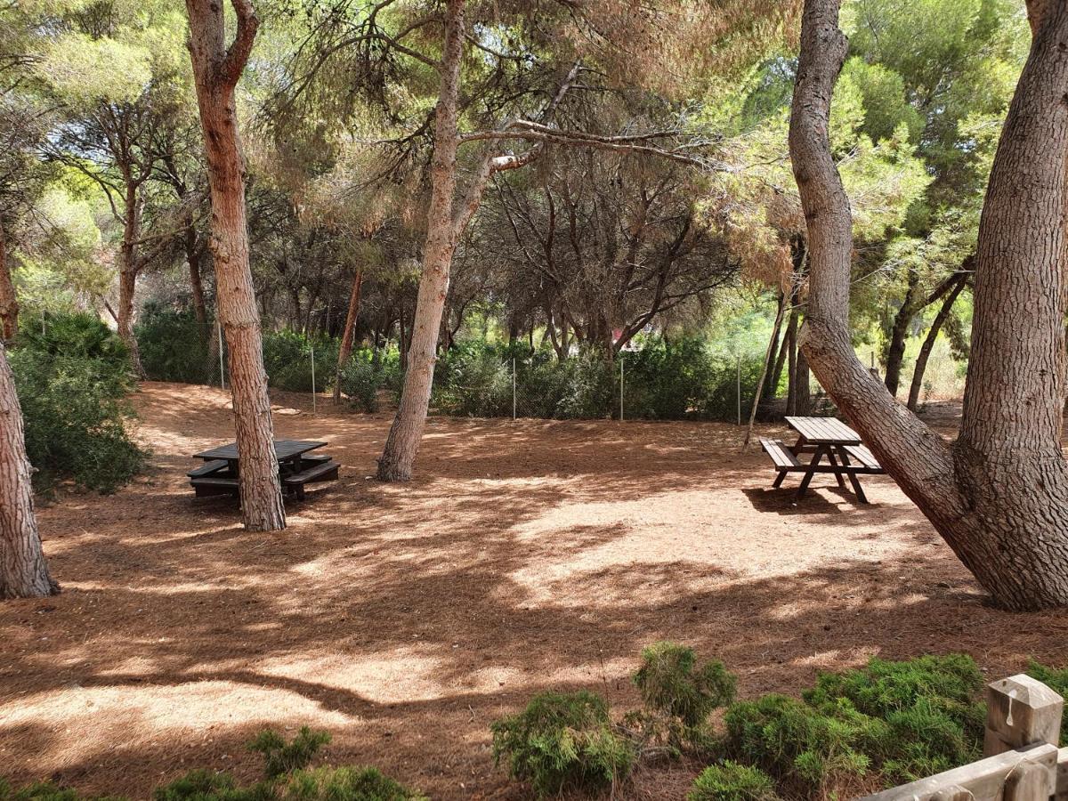 Apartment In Campoamor Overlooking The Swimming Pool Bagian luar foto